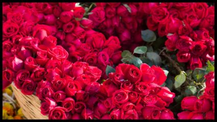 वैलेंटाइन डे पर युवाओं में उत्साह, विभिन्न भेंट वस्तुओं से सजा बाजार