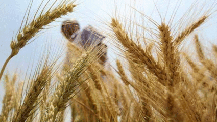 उत्तर प्रदेश में प्राकृतिक खेती मिशन को 35 जिलों में लागू करने की तैयारी