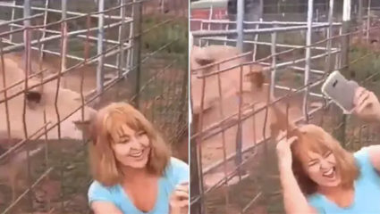 Selfie लेने में बिजी थी ladki, ऊंट ने किया कुछ ऐसा.. देखकर उड़ जायेंगे होश