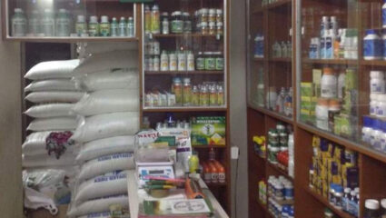 जिला अधीक्षक कृषि अधिकारी का आदेश खारिज, नये सिरे से लेना होगा फैसला: हाई कोर्ट