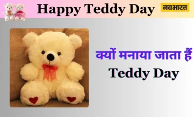 भालू खिलौने का नाम क्यों पड़ा टेडी ! जानिए टेडी डे की दिलचस्प कहानी और गिफ्ट आइडियाज