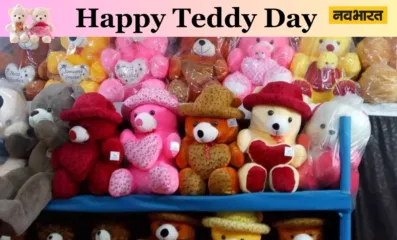 जाने क्या होता हैं टेडी के अलग-अलग रंगों का मतलब, पार्टनर को गिफ्ट करने से पहले जान लें ये बात