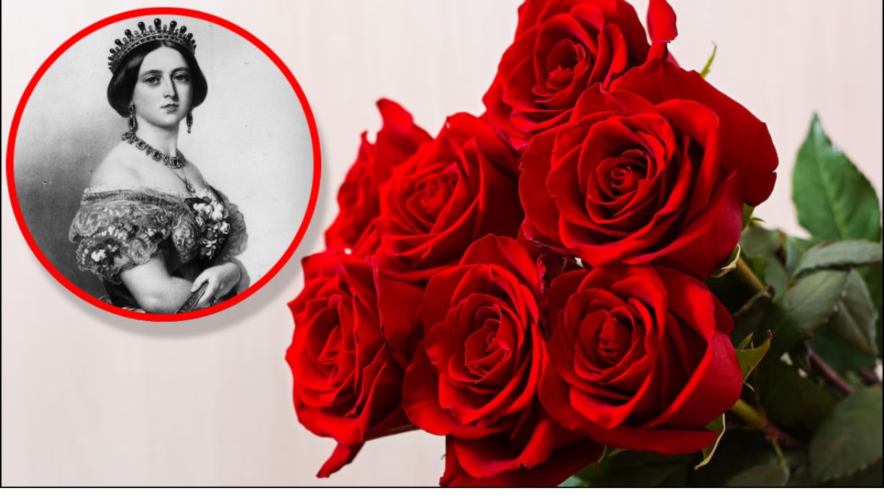 गिले-शिकवे दूर करने से लेकर मोहब्बत का इज़हार करने का गोल्डन टाइम, Valentine Week के पहले दिन Rose Day, जानिए इसका इतिहास