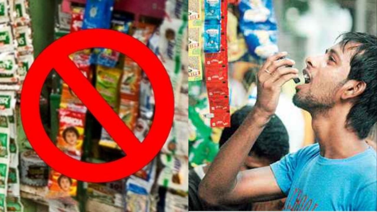 Side effects of Pan Masala: पान मसाला की आदत छुड़ाने के कारगर उपाय जानिए, वरना जानलेवा कैंसर का करना पड़ेगा सामना