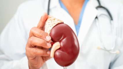 किडनी फेलियर से बचाएगा BHU का नया शोध, पालीसिस्टिक किडनी रोग के 95 डीएनए वैरिएंट्स का हुआ खुलासा