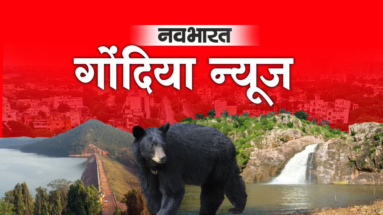 गोंदिया में हजारों लोगों का राशन होगा बंद! सरकार को भेजी गई जिले के डिफॉल्टरों की सूची