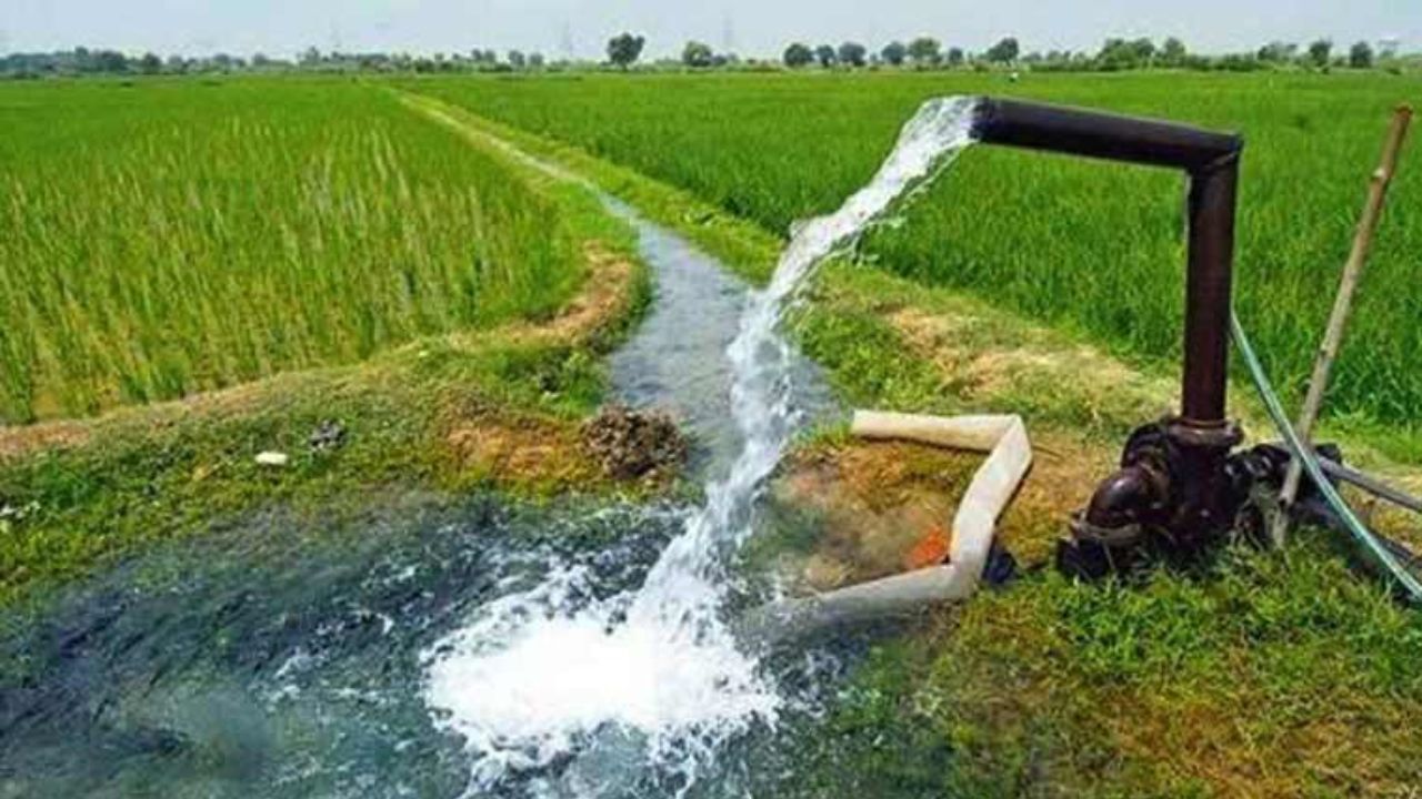 Gondia News: प्रशासन से 20 घंटे बिजली आपूर्ति की मांग, किसानों को मिल रही केवल 8 घंटे बिजली