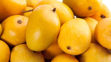 पुणे में हापुस आम की धमाकेदार एंट्री, पहली खेप 6000 रुपये प्रति दर्जन में बिकी