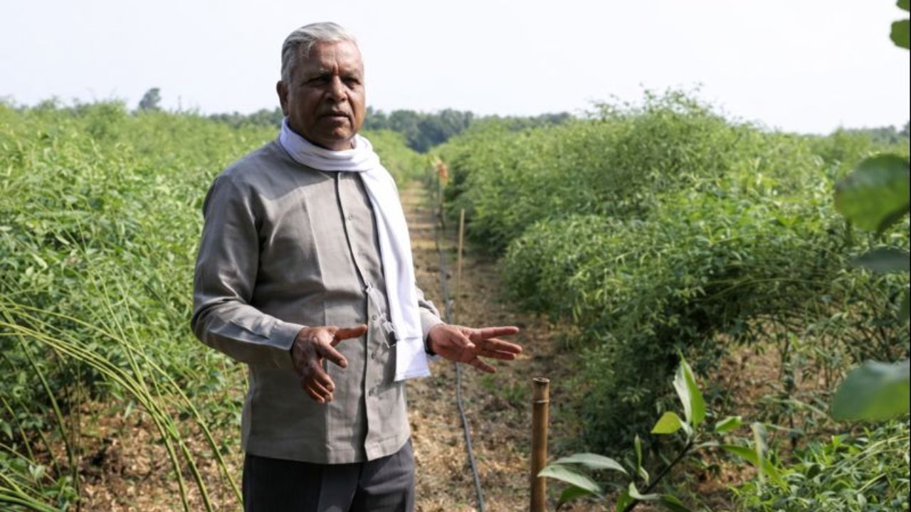 ‘रामतीर्थ गोदा पुरस्कार’ से पद्मश्री सुभाष शर्मा सम्मानित, रामकुंड पर 1111 महिलाओं ने की गोदावरी महाआरती