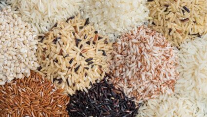 इन 4 चावल में होते है प्राकृतिक गुण, रोजाना खाने से नहीं बढ़ता वजन, बस जान लीजिए खाने का तरीका