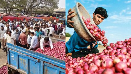 प्याज किसानों पर संकट, नासिक में 200 करोड़ तक नुकसान का अनुमान; भारतीय निर्यात को झटका
