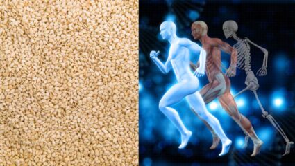 कैल्शियम का खजाना है तिल, हड्डियों की कमजोरी दूर करने के लिए सर्दियों में ऐसे करें सेवन