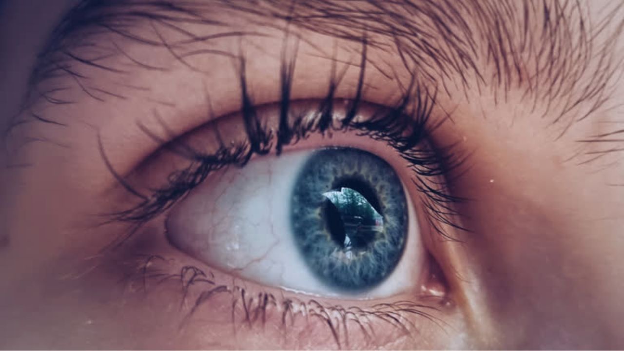 आंख दान करने से नेत्रहीनों की जिंदगी से दूर हो सकता है अंधेरा, नेत्रदान में गोंदिया ने हासिल किया चौथा स्थान