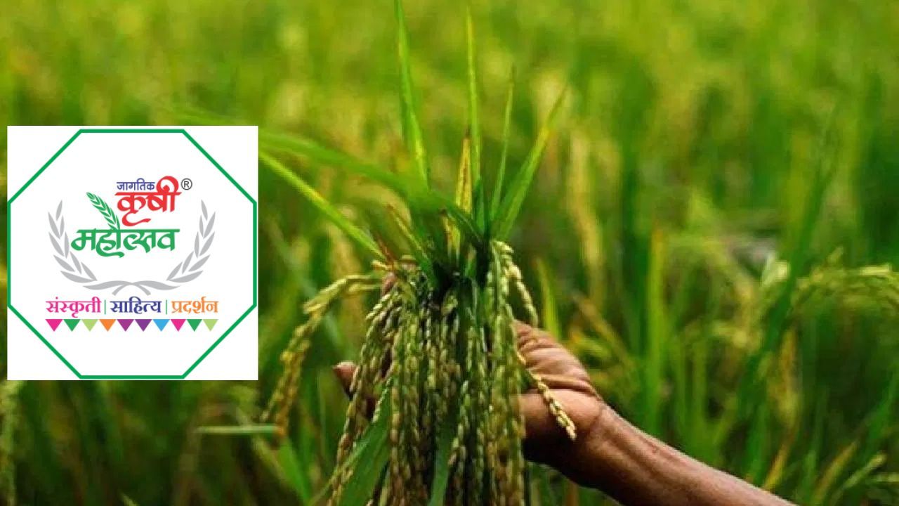 &lsquo;कृषि पर्व&rsquo; से पांच दिनों में 3.5 करोड़ रुपये का टर्नओवर, CEO की मौजूदगी में हुआ समापन