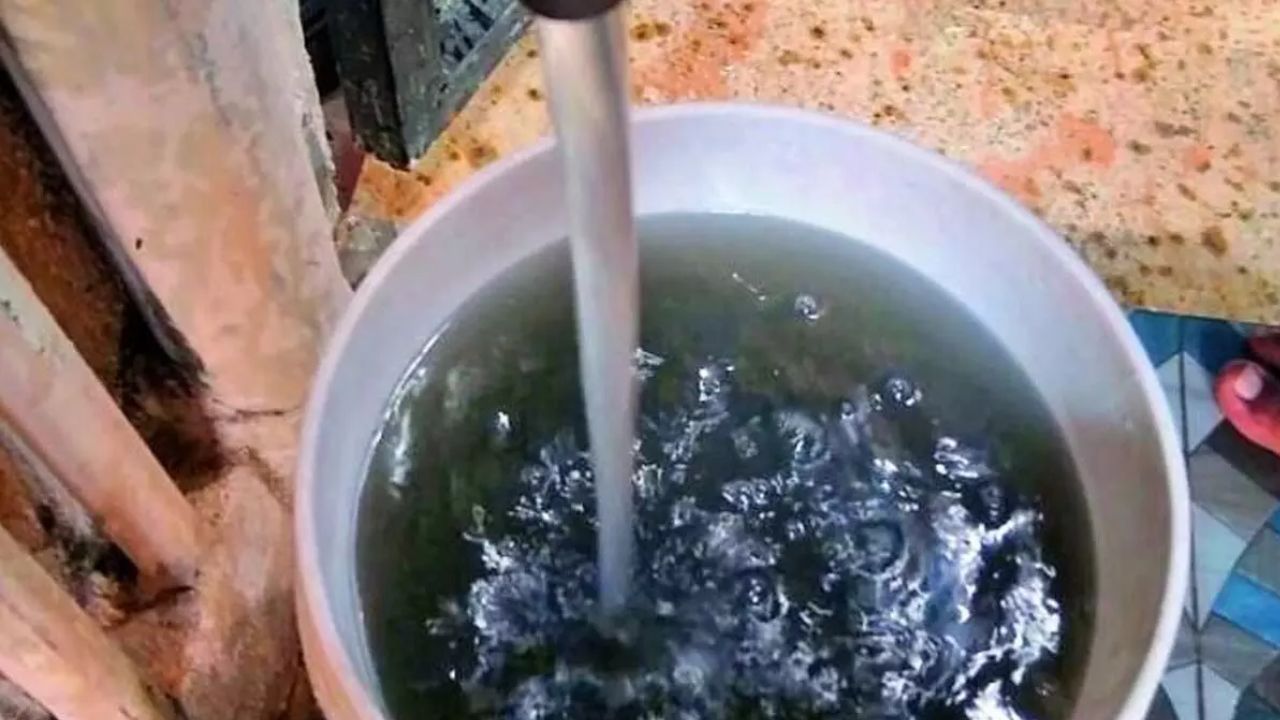 नाले का पानी मिलकर पहुंच रहा घरों तक, नगरसेविका राजोल पाटिल ने BMC अधिकारियों से की शिकायत