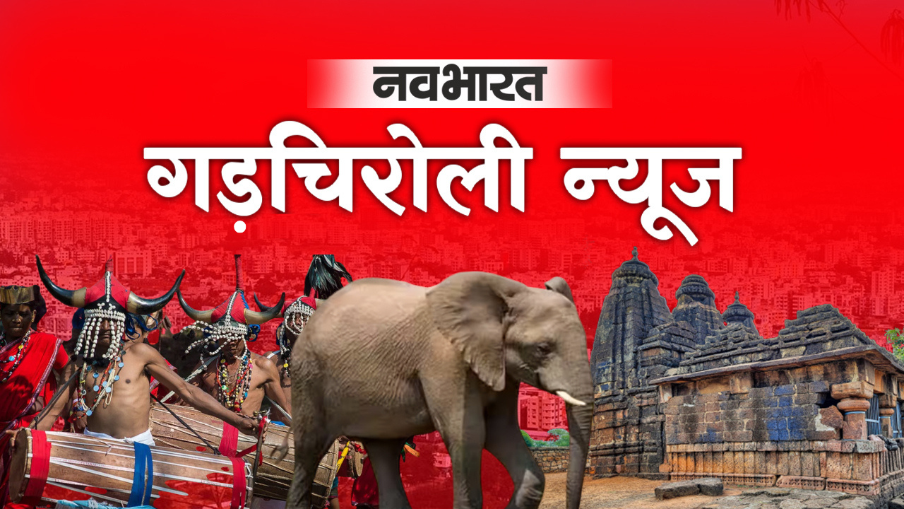 गड़चिरोली में हाथियों ने मचाया हाहाकार! 8 गांवों की फसलों को किया तबाह, किसानों ने आंदोलन की दी चेतावनी