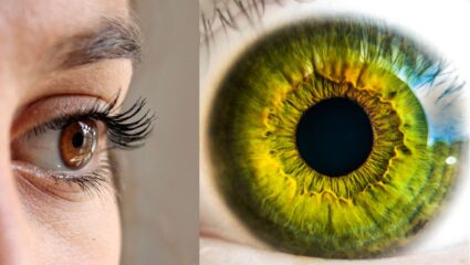 मृत्यु के बाद भी रोशन हुई जिंदगी: वर्धा में 10 महीनों में 85 हजार नेत्रदान संकल्प, 11नेत्रहीनों को मिली दृष्टि