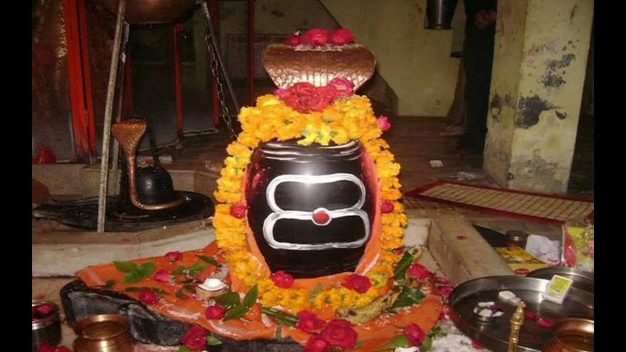 महाशिवरात्रि के दिन क्यों चढ़ाते हैं शिवलिंग पर बेलपत्र, धतूरा और भांग? अब खुला रहस्य!