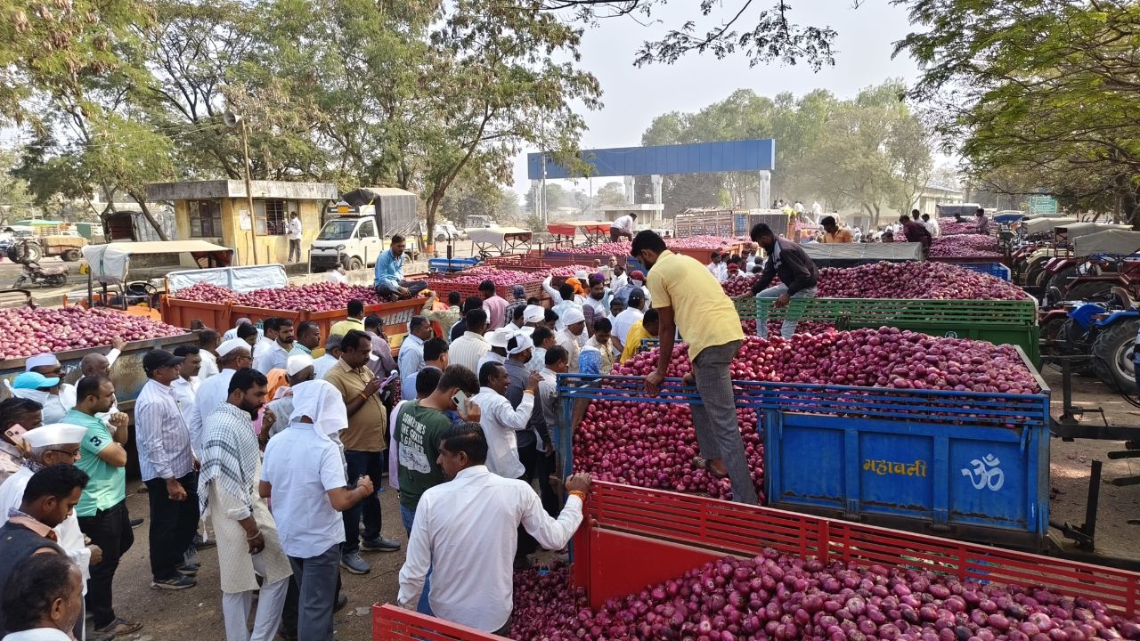 प्याज कीमतों में भारी गिरावट, किसानों को करोड़ों का नुकसान,  35 लाख क्विंटल की रिकॉर्ड आवक से गिरे दाम