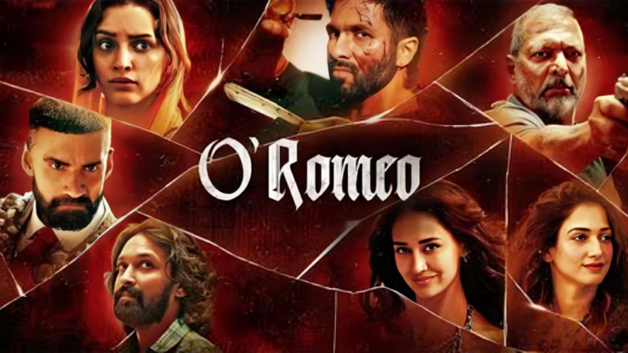 ‘ओ’ रोमियो’ को कोर्ट से मिली हरी झंडी, रिलीज पर रोक लगाने की याचिका कोर्ट ने की खारिज