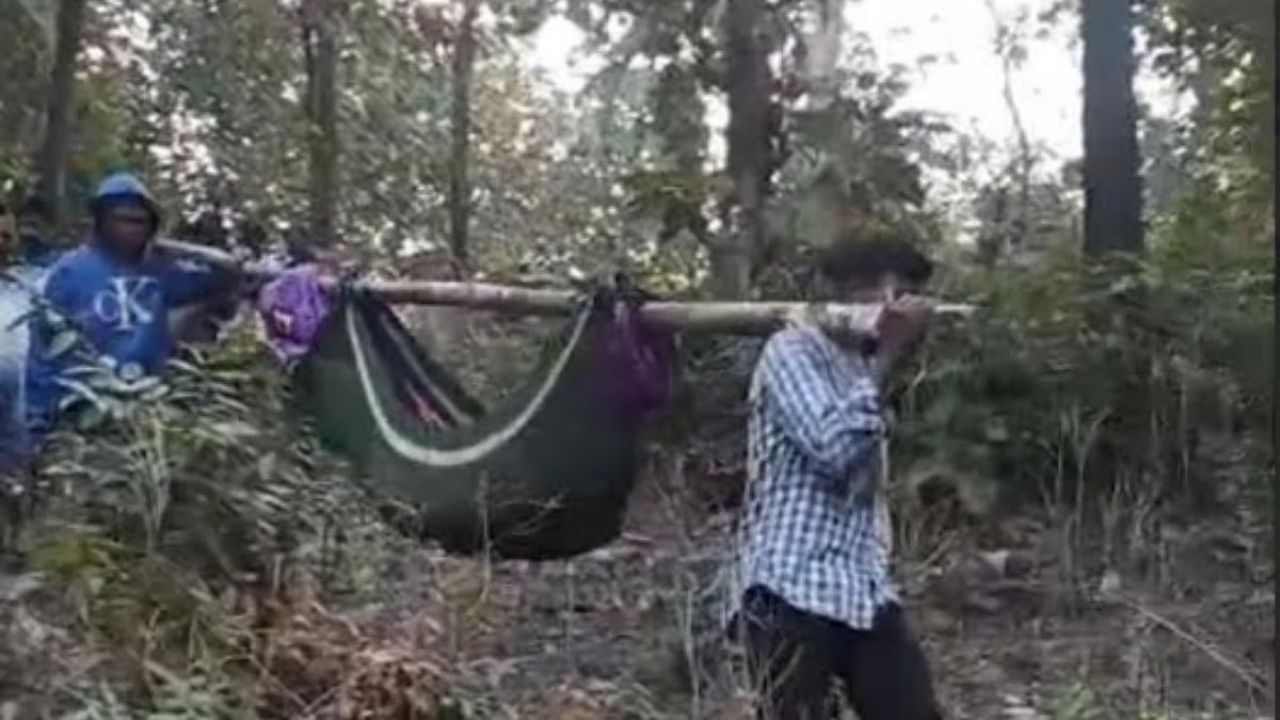 पालघर में सिस्टम शर्मसार! सड़क न होने से डोली में अस्पताल ले जाना पड़ा, 18 साल के युवक ने तोड़ा दम