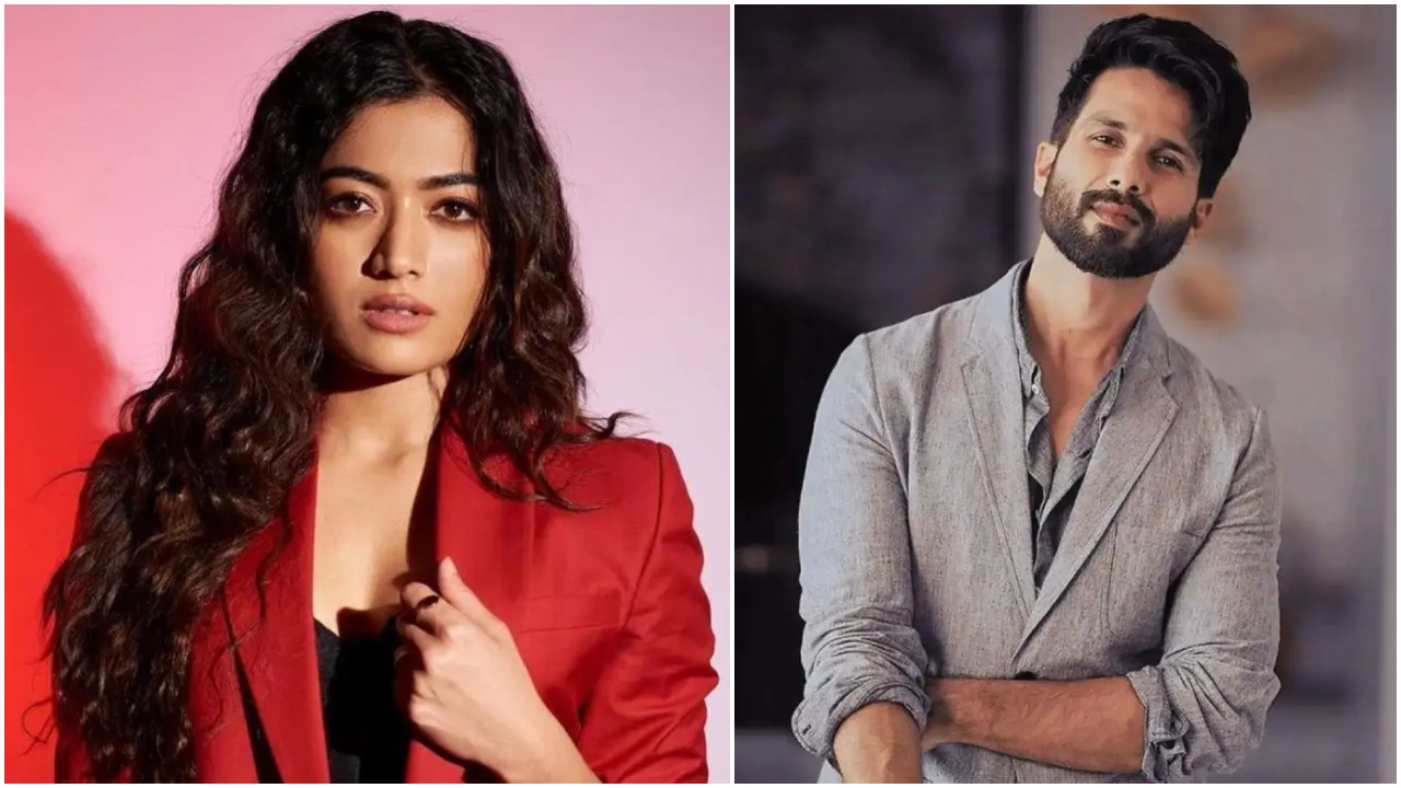 Cocktail 2 के बाद फिर साथ आएंगे शाहिद कपूर-रश्मिका मंदाना? दूसरी फिल्म पर लगी मुहर, फैंस हुए एक्साइटेड