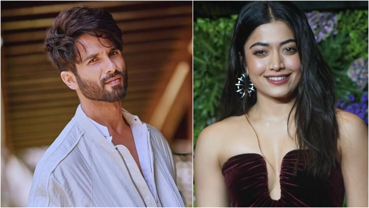 Cocktail 2 के बाद फिर जमेगी शाहिद कपूर-रश्मिका मंदाना की जोड़ी, इस बार रोमांटिक कॉमेडी में दिखेगा जादू