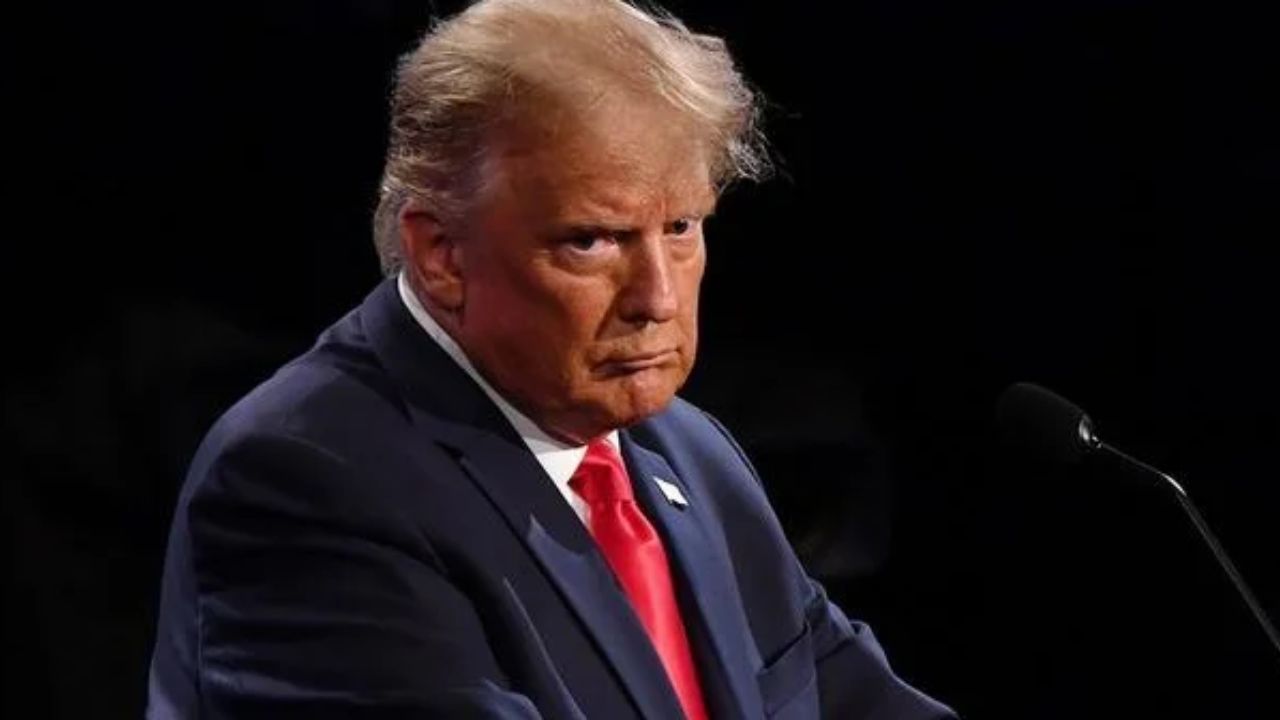 भारत पर फिर चला ट्रंप का चाबुक! ट्रेड डील के बाद 200 से अधिक भारतीय वेबसाइट के डोमेन को किया जब्त, गंभीर आरोप