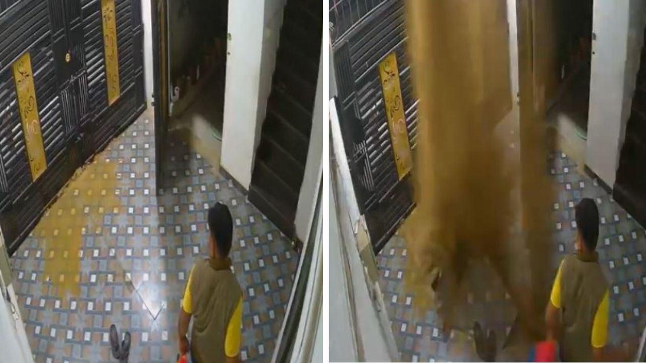 बोरिंग के दौरान फटा पाइप, जमीन चीरकर निकली पानी की धार; हाईप्रेशर का डरावना वीडियो वायरल