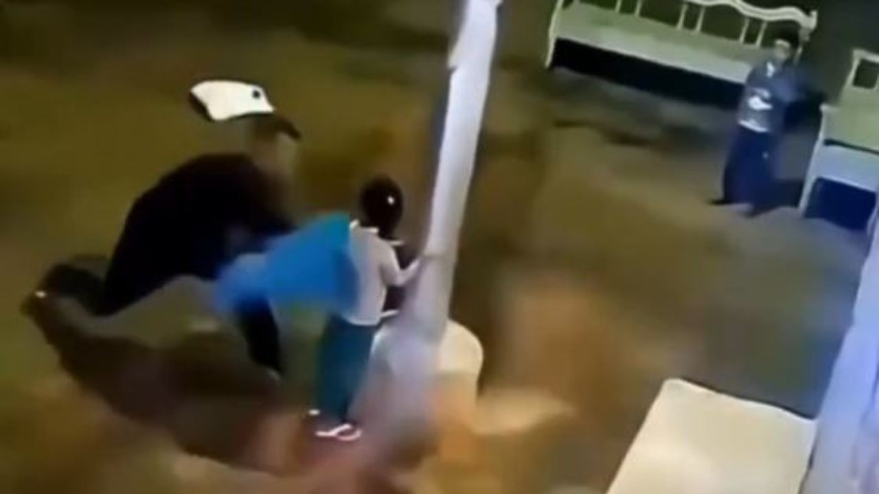 वायरल वीडियो: बिजली के खंभे से चिपकी बच्ची को शख्स ने बचाया, इंसानियत ने फिर जीता दिल