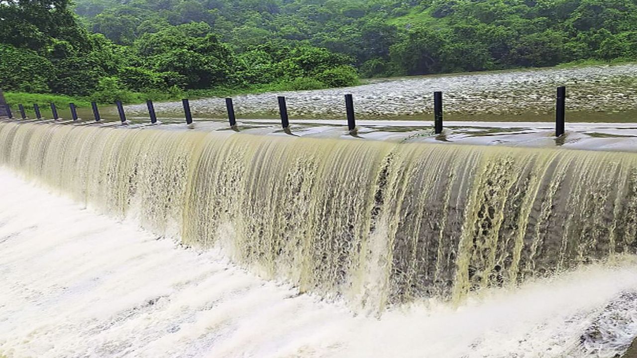 लाखांदूर-पवनी के किसानों के लिए राहत, गोसीखुर्द परियोजना से ग्रीष्मकालीन फसलों के लिए पानी छोड़ा गया