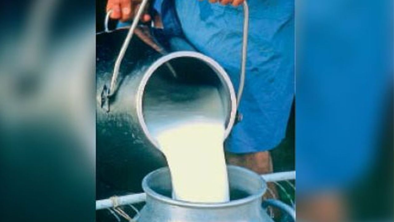 पशुपालकों के लिए खुशखबरी: IBF तकनीक से बदलेगी भंडारा की डेयरी तस्वीर, 75% तक अनुदान