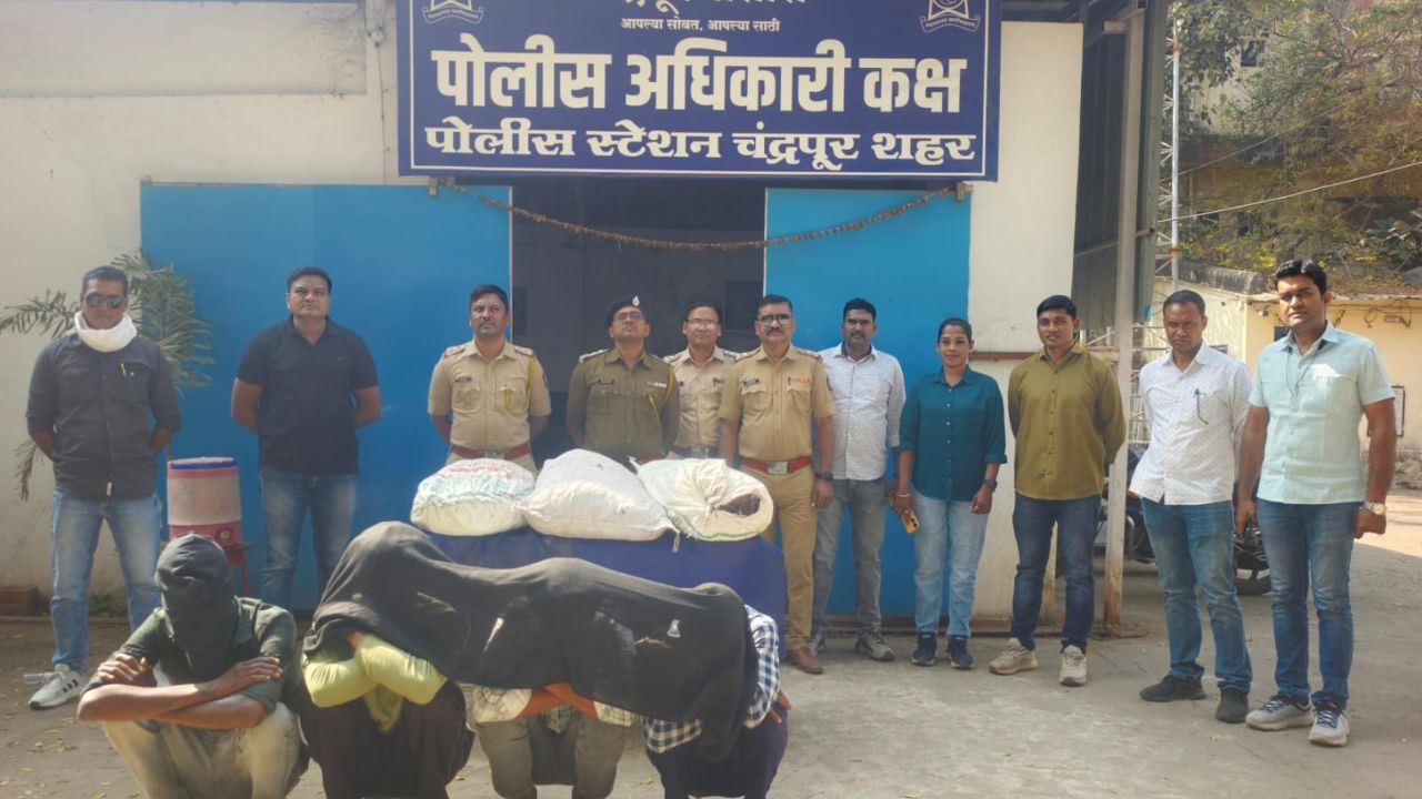 चंद्रपुर पुलिस का बड़ा एक्शन: BSNL कार्यालय से लाखों के केबल उड़ाने वाला गिरोह गिरफ्तार, ₹17 लाख का माल बरामद!