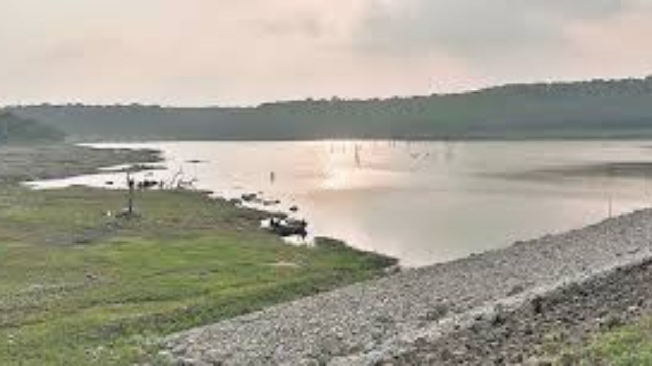 आर्द्रभूमि संरक्षण में पिछड़ा चंद्रपुर? 1681 पूर्व मालगुजारी तालाबों के संवर्धन की उठी मांग