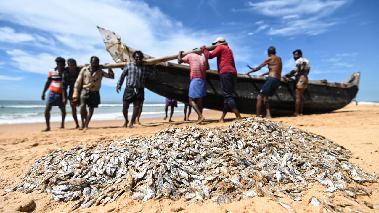 Blue Revolution India: 10 साल में दोगुना हुआ भारत का मछली उत्पादन, 197 लाख टन का रिकॉर्ड स्तर!