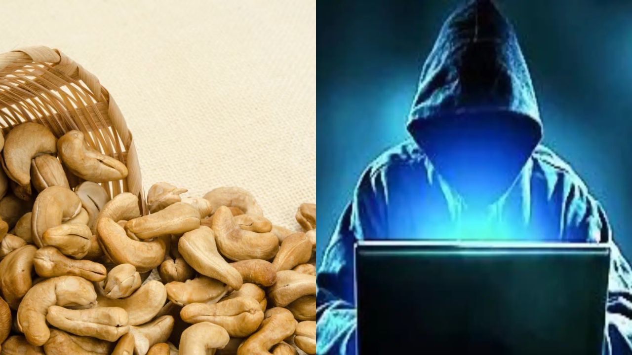 काजू कारोबार के नाम पर 46.89 लाख की ठगी, गंगापुर पुलिस की कार्रवाई; तीन पर मामला दर्ज