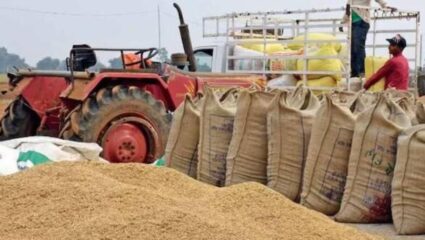 भंडारा जिले में धान खरीदी की अवधि दो माह बढ़ी, भुगतान संकट गहराया; 83 हजार किसानों के 750 करोड़ रुपये अटके