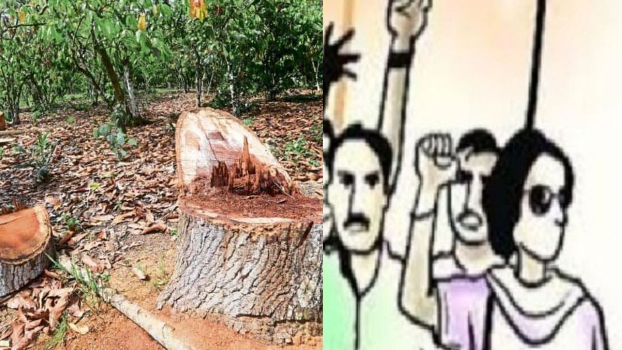 गरवारे स्टेडियम विस्तार पर विवाद, 55 करोड़ की निविदा के साथ 75 पेड़ों की कटाई पर संभाजीनगर में रोष