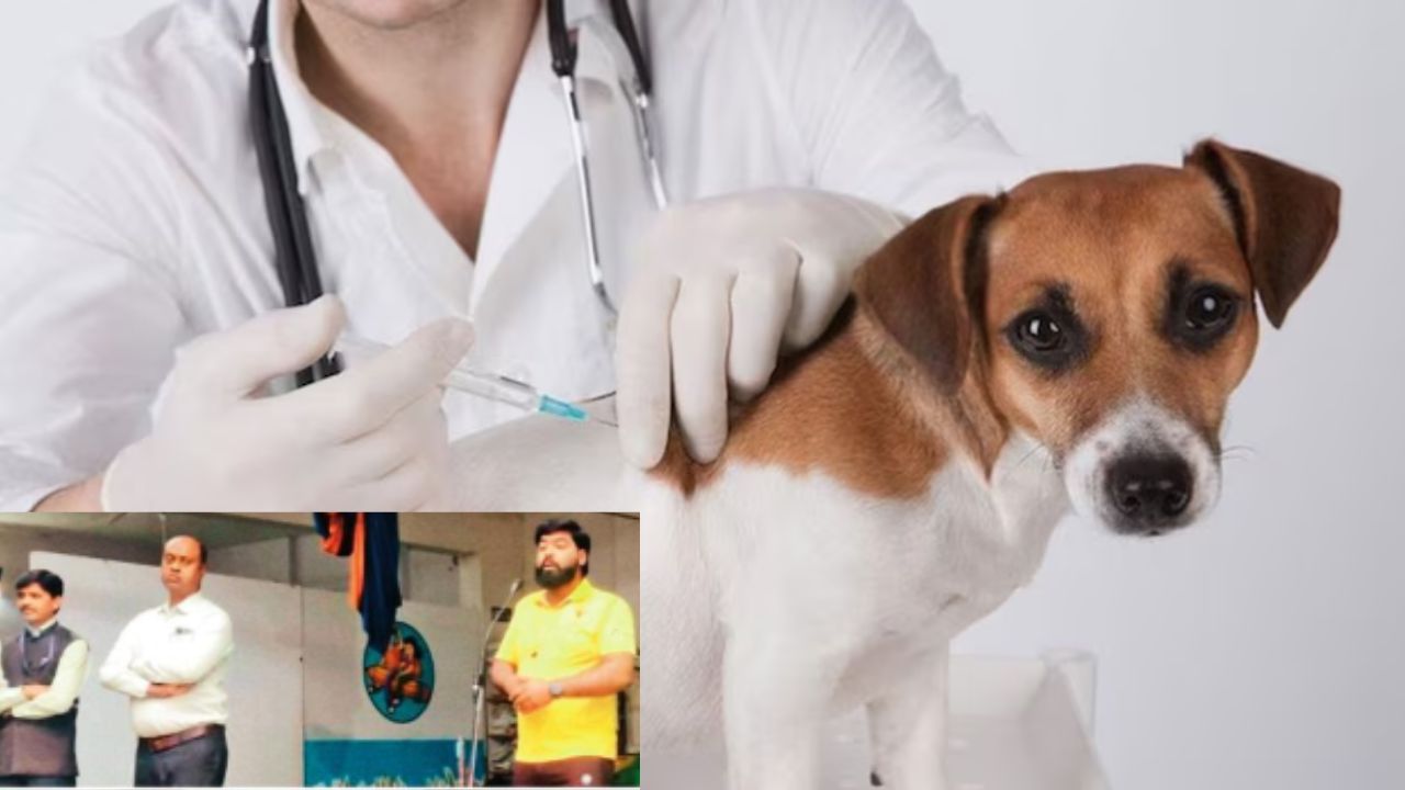 मिशन रेबीज: पालतू और आवारा पशुओं की सेहत पर फोकस, टीकाकरण से ही बचाव संभव